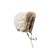feb42221c0ff7041687b9f7103afae45